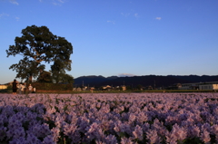 ある家族の風景