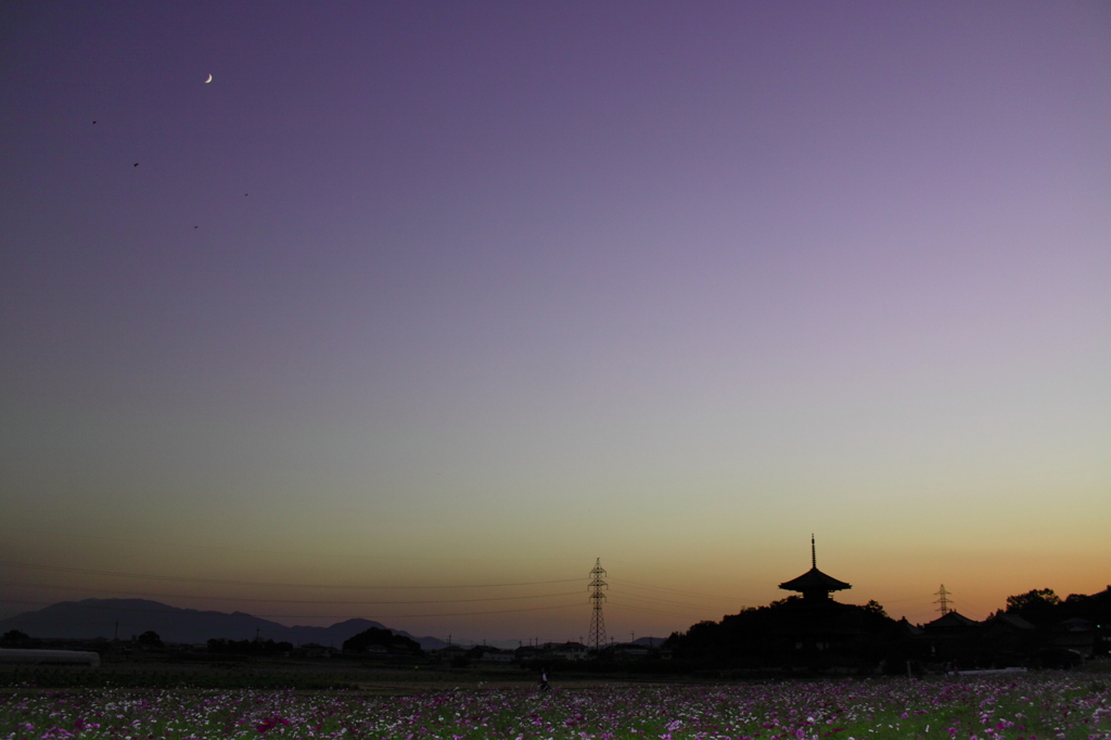 花鳥風月