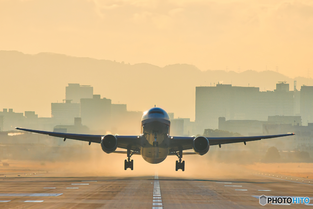朝靄トリプルセブン