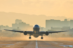 朝靄トリプルセブン