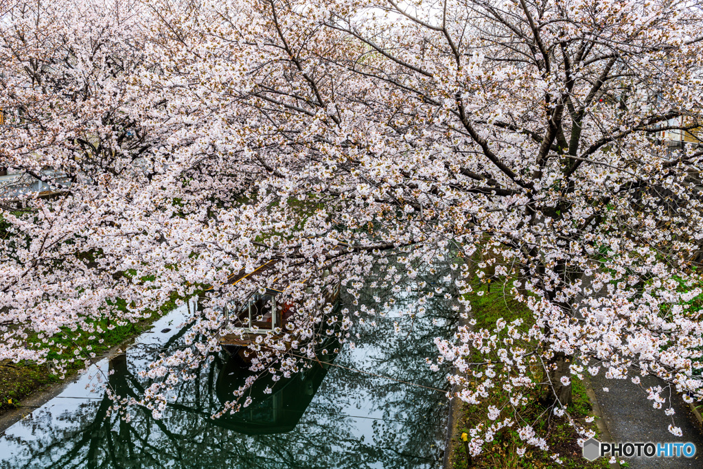 静寂な伏見の水路