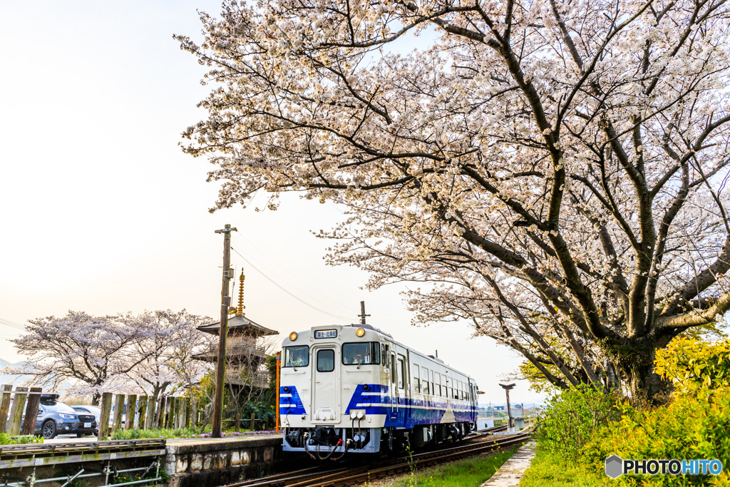 法華口駅の春