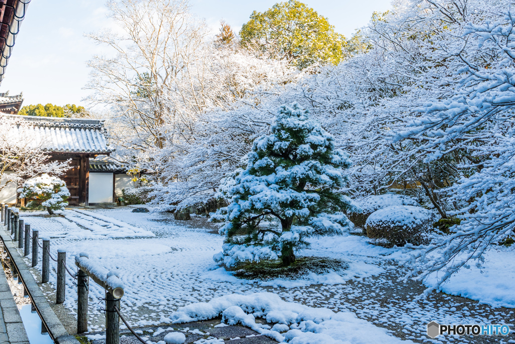 積雪の東庭
