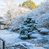 積雪の東庭