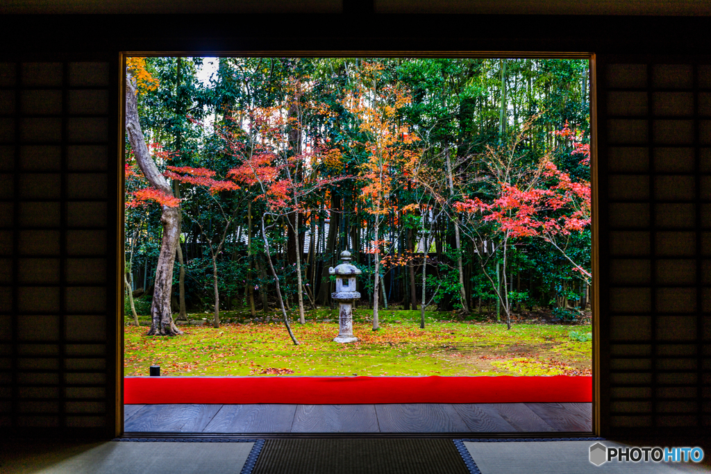 高桐院の額縁紅葉