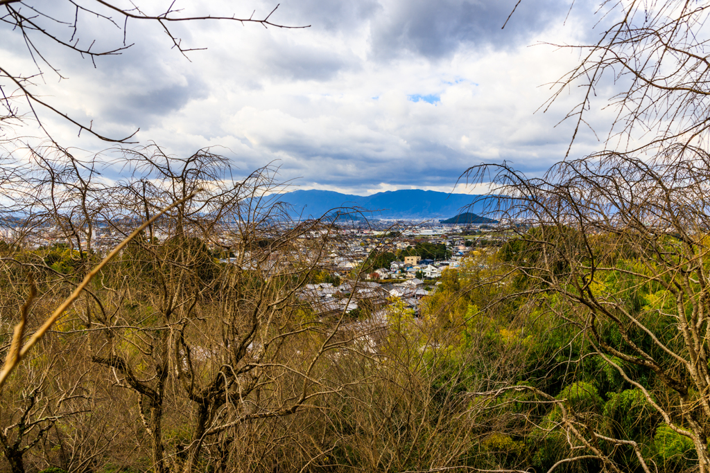 大美和の杜展望台