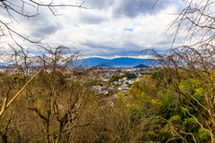 大美和の杜展望台