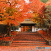 安楽寺の紅葉