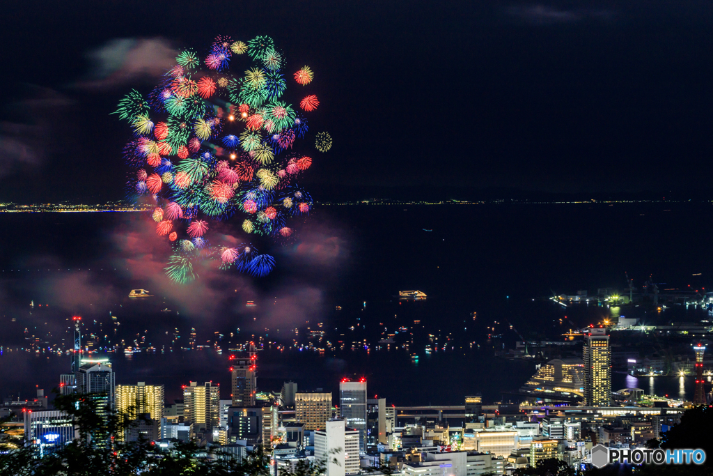 彩色千輪菊 in 神戸 2019