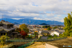大和三山が見える風景