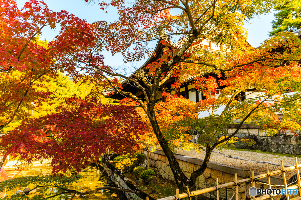 天王殿と紅葉