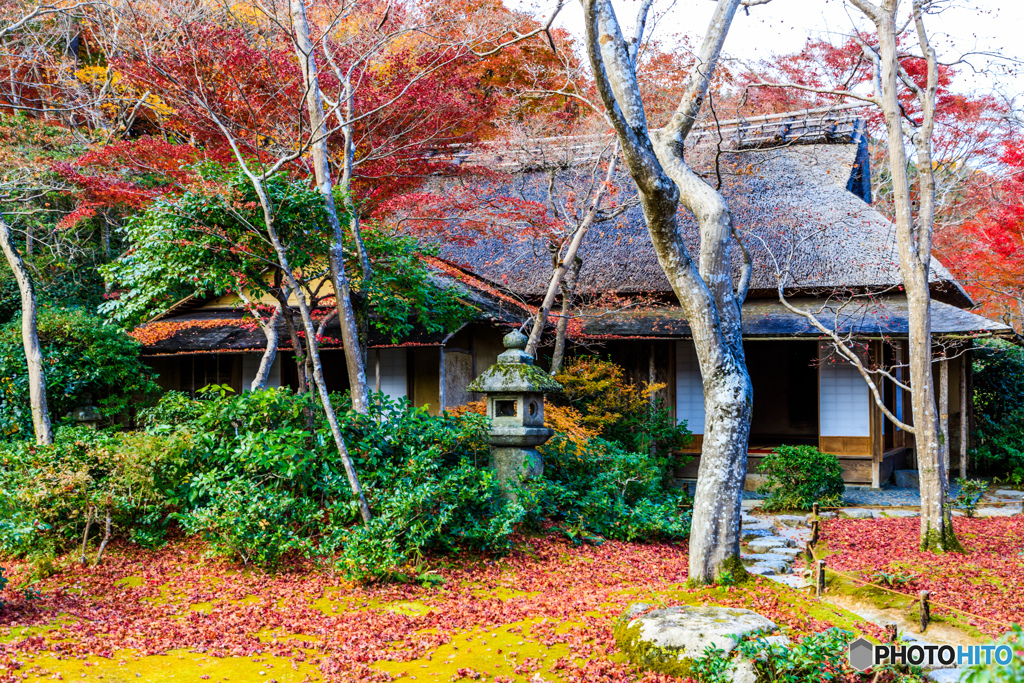 滴水庵の紅葉