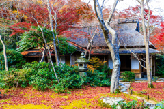 滴水庵の紅葉