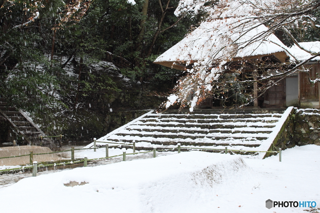 落雪の法然院