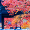 三門の彩景