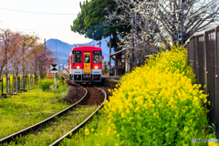 春色鉄道