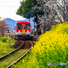 春色鉄道