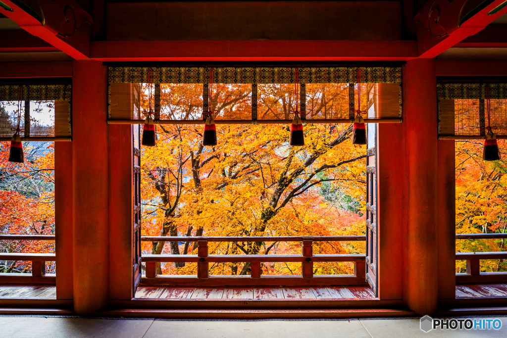 拝殿の額縁紅葉