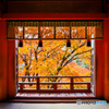 拝殿の額縁紅葉