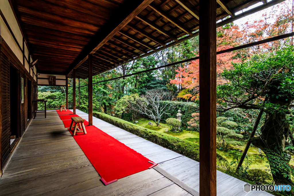 桂春院の庭園