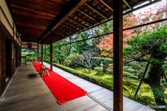 桂春院の庭園