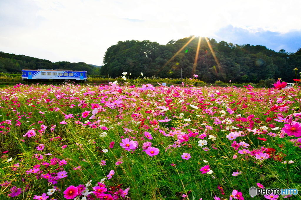 サンシャイン鉄道