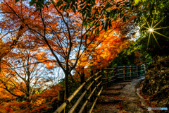 つづら折り石道