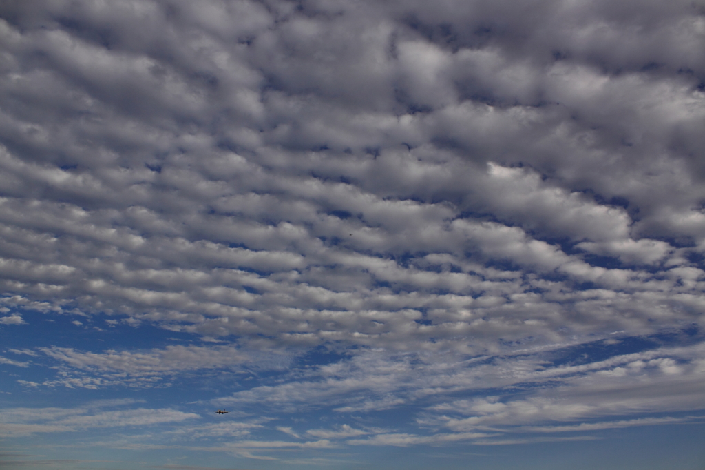 うろこ雲の秋空