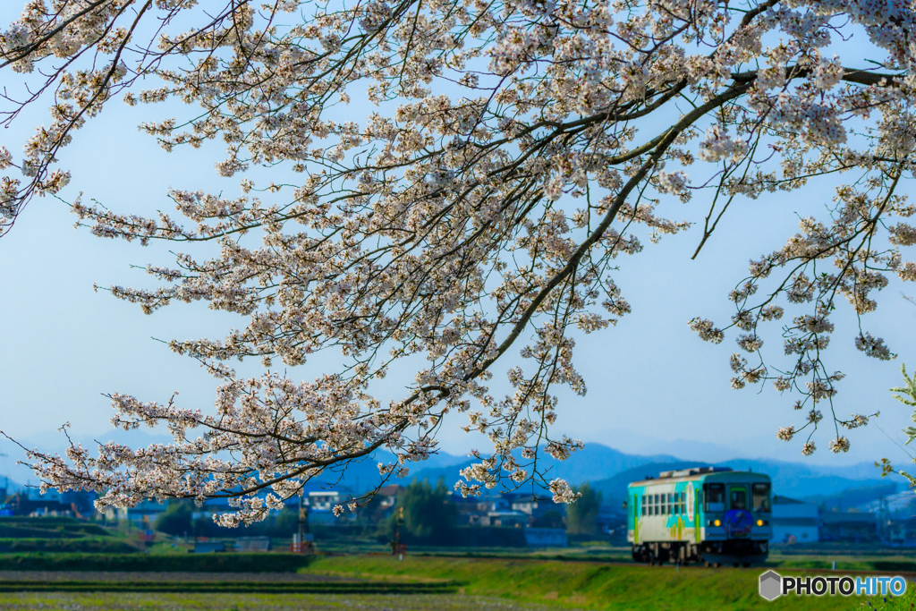 春を呼ぶ北条鉄道