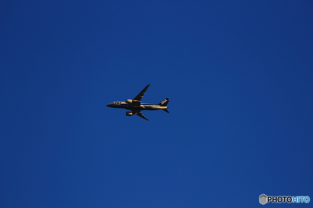 ７８７飛行中