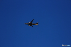 ７８７飛行中