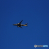 ７８７飛行中
