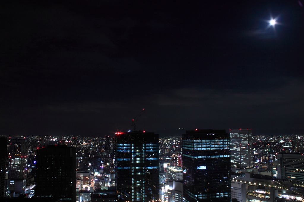 月光のうめきた