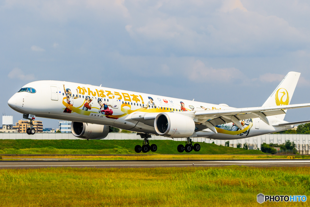 みんなのJAL2020ジェット