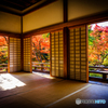 宝筐院の秋景