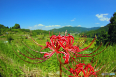 明日香の秋景