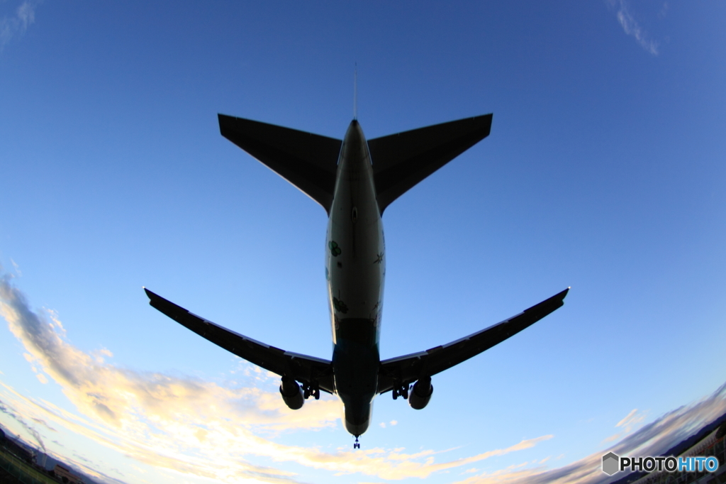 後ろしか見せねえ