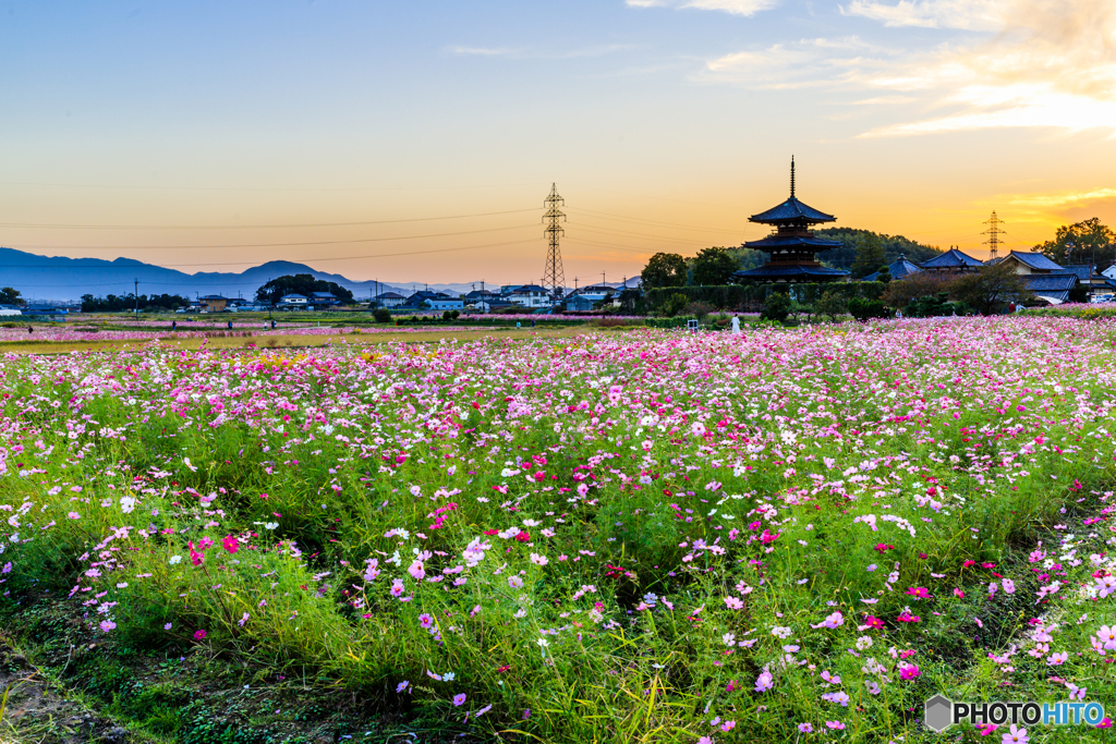 法起寺の夕景