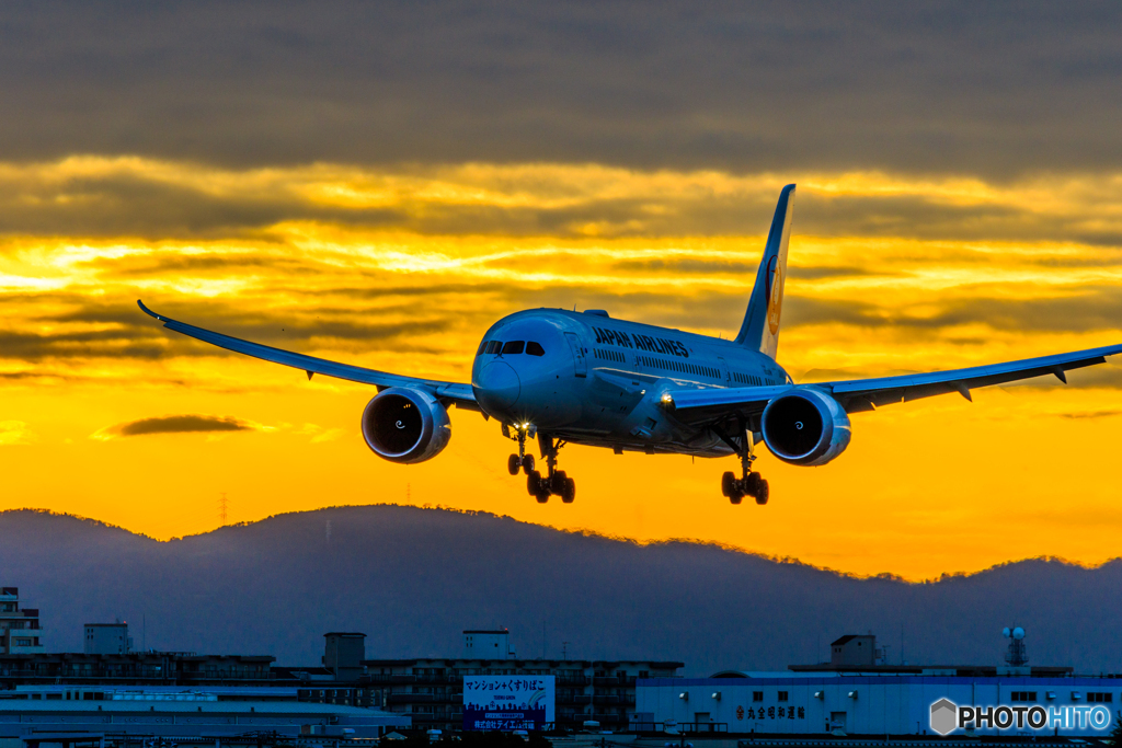 朝活二番機✈JA848J（1/18）