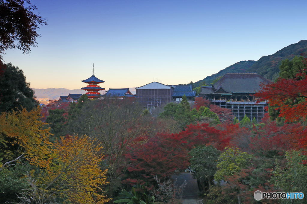 彩りの清水寺