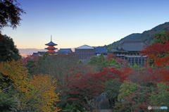 彩りの清水寺