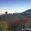 彩りの清水寺