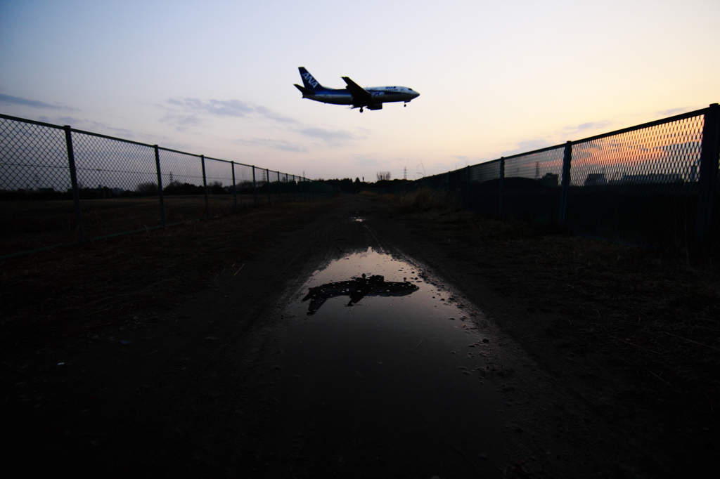 水たまり飛行Ⅱ