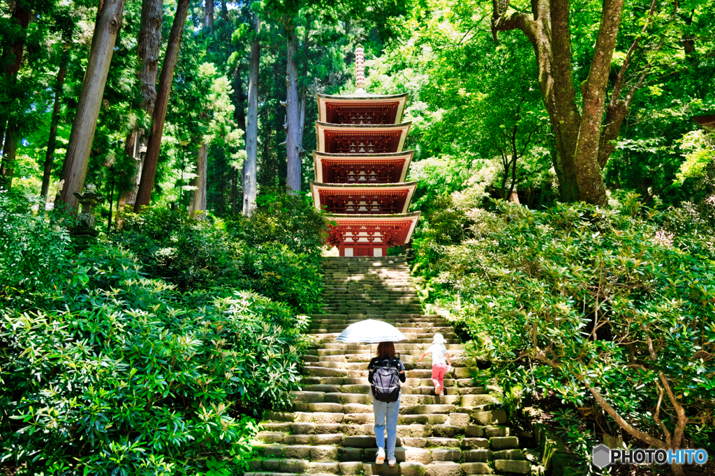 五重塔と親子