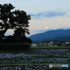 古都に昇る月