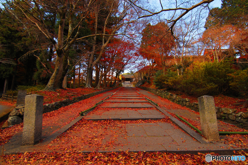 毘沙門堂の参道Ⅱ