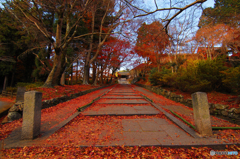 毘沙門堂の参道Ⅱ