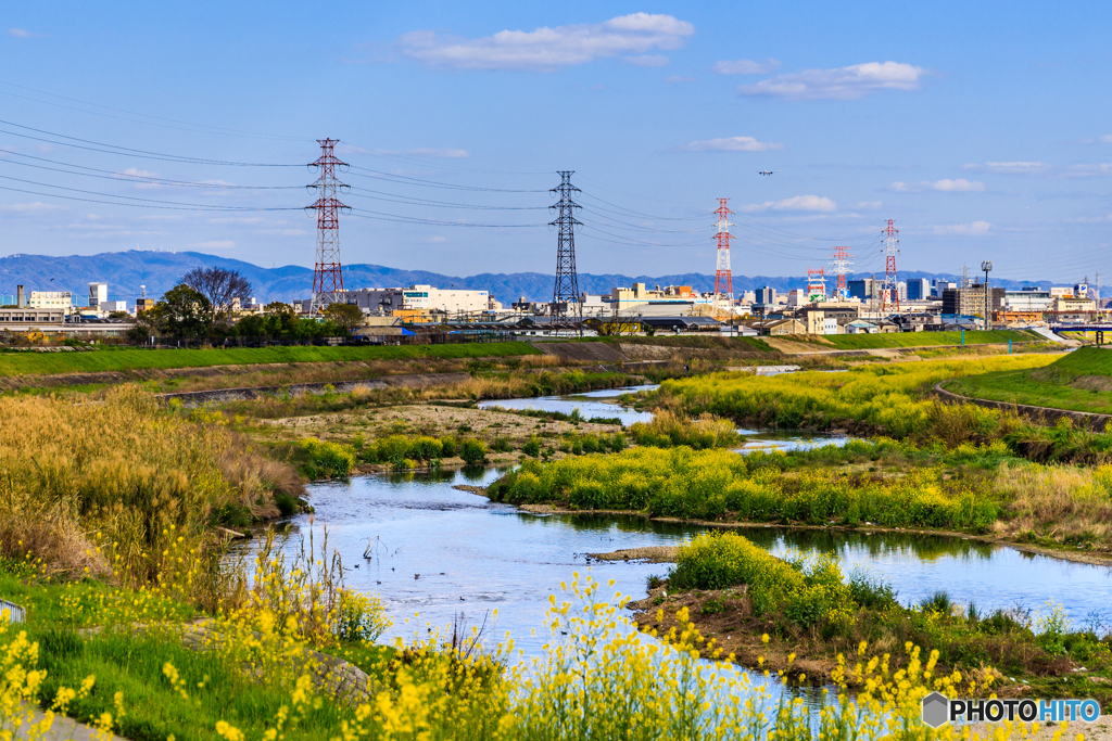 猪名川の春景