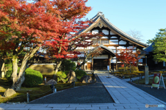 静寂な高台寺