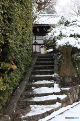 雪咲く金福寺